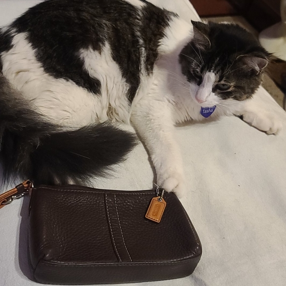 Coach pebble leather wristlet - Picture 8 of 12